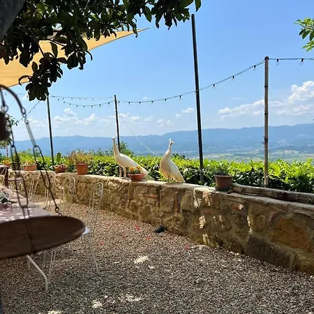 I Millepini 팜스테이 *