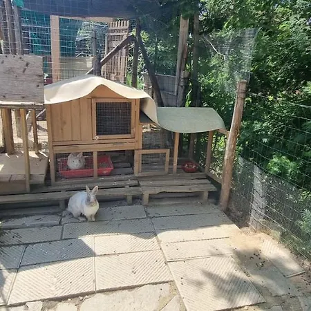 I Millepini Case Malva